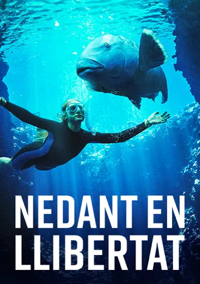 Imatge del cartell del títol