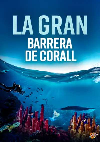 Imatge del cartell del títol
