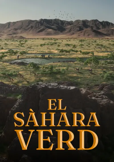 Imatge del cartell del títol