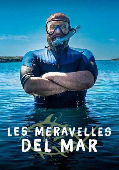 Imatge del cartell del títol