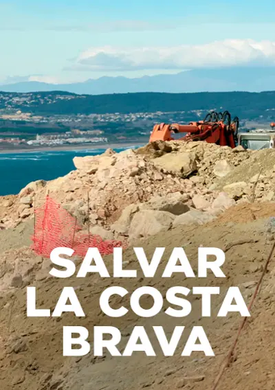 Imatge del cartell del títol