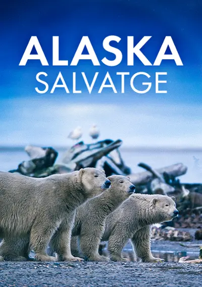 Imatge del cartell del títol