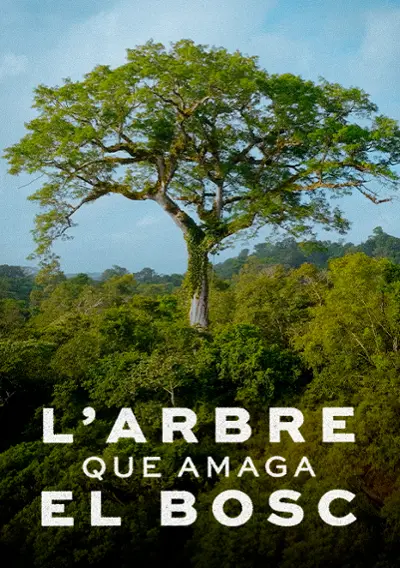 Imatge del cartell del títol